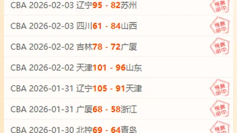 芝加哥机场客机降落遇险紧急复飞