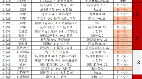 马克龙亲临现场观看法国与以色列对决
